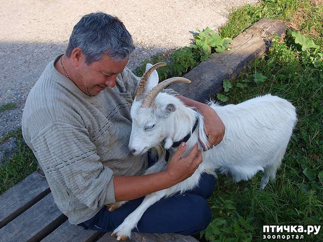 ���� 3: �����! �� ������� �� �������!)))