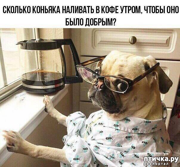 ���� 5: �����! �� ������� �� �������!)))