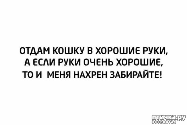 ���� 8: �����! �� ������� �� �������!)))