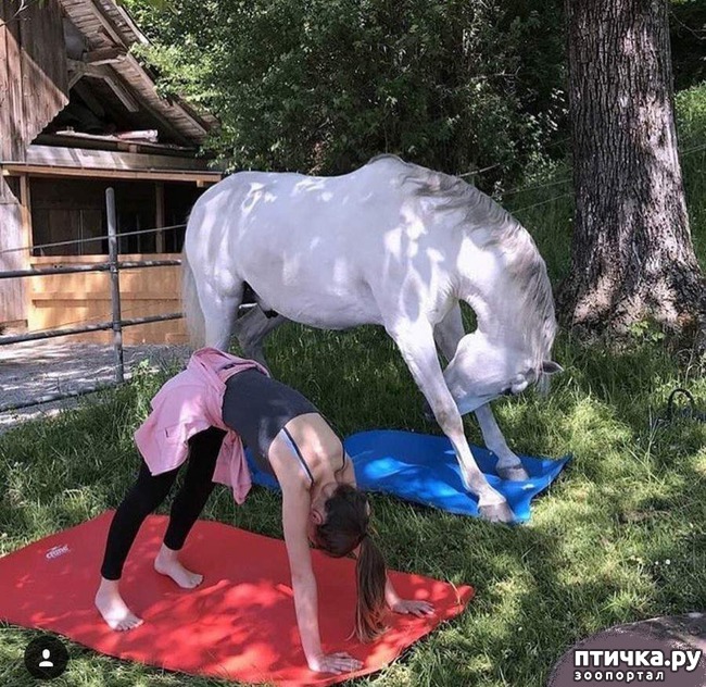 ���� 11: �����! �� ������� �� �������!)))