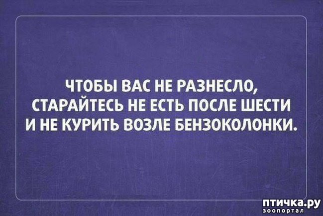 ���� 12: �����! �� ������� �� �������!)))