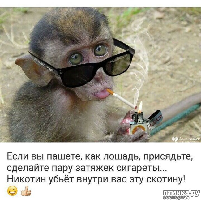 ���� 13: �����! �� ������� �� �������!)))