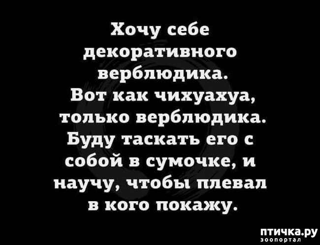 ���� 14: �����! �� ������� �� �������!)))