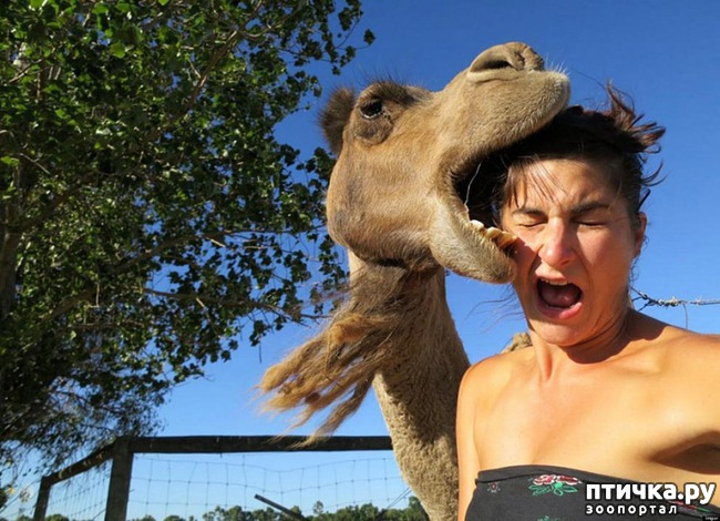 ���� 15: �����! �� ������� �� �������!)))