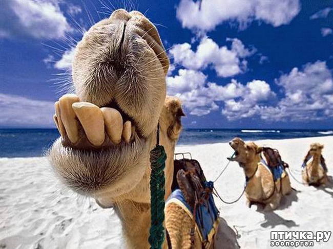 ���� 17: �����! �� ������� �� �������!)))