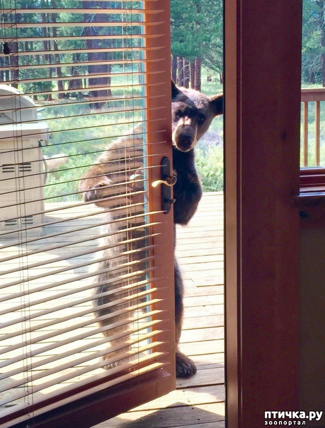 ���� 6: �����! �� ������� �� �������!)))