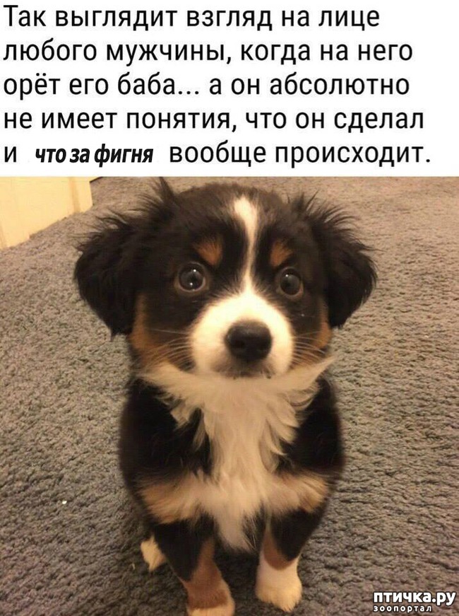 ���� 7: �����! �� ������� �� �������!)))