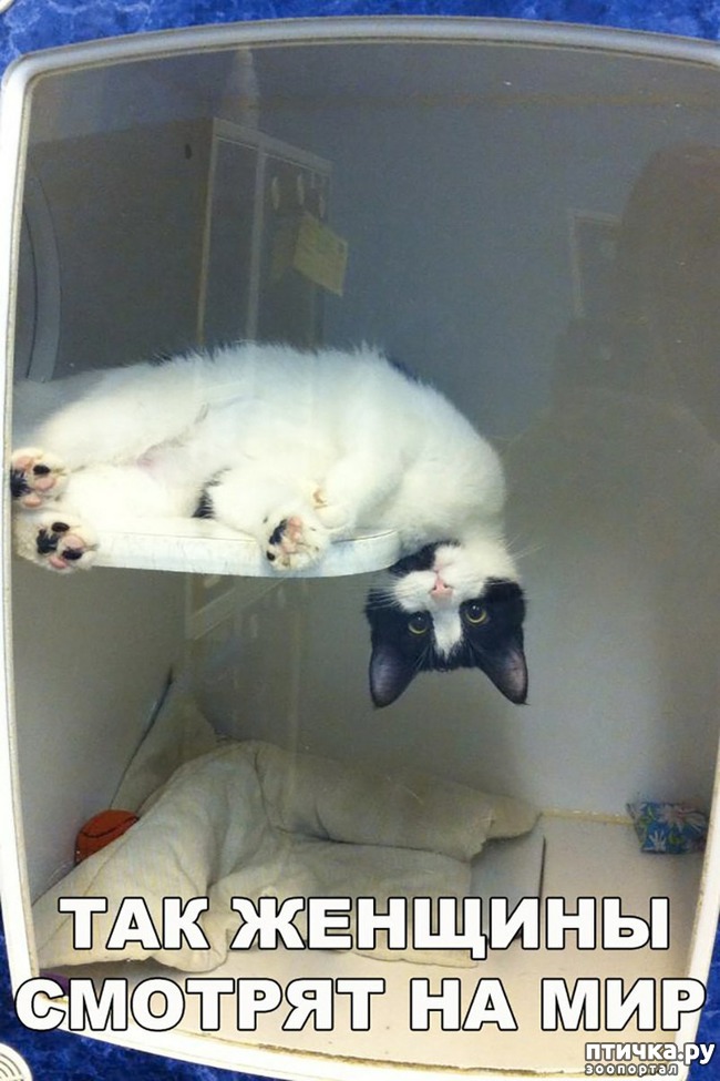 ���� 21: �����! �� ������� �� �������!)))