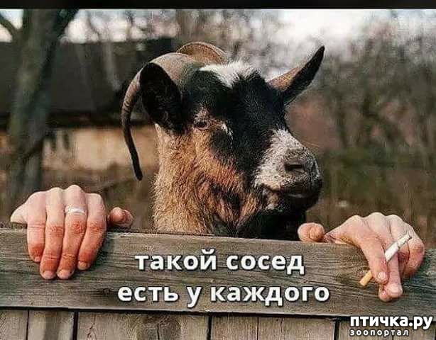 ���� 24: �����! �� ������� �� �������!)))