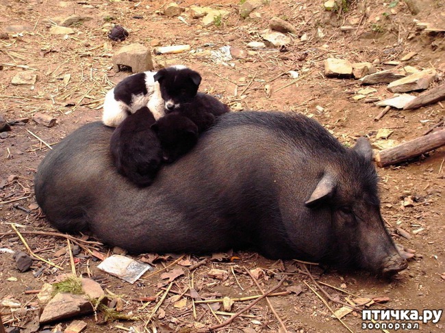 ���� 25: �����! �� ������� �� �������!)))