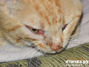 ����: ��� � ����� �����, ����� ��� ������ ������...