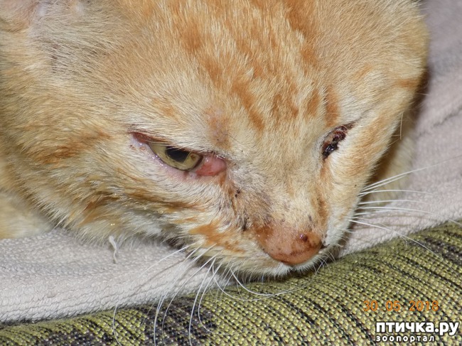 ���� 1: ��� � ����� �����, ����� ��� ������ ������...