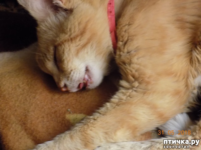 ���� 2: ��� � ����� �����, ����� ��� ������ ������...