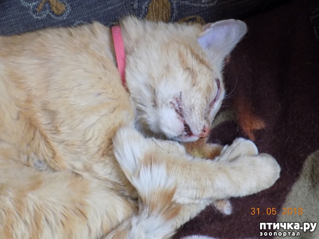 ���� 3: ��� � ����� �����, ����� ��� ������ ������...