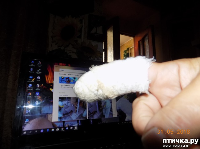 ���� 4: ��� � ����� �����, ����� ��� ������ ������...