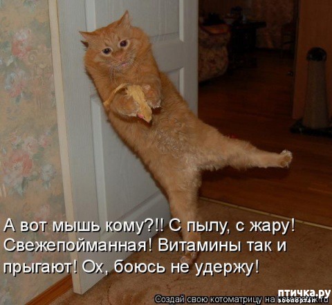 ���� 1: �����������