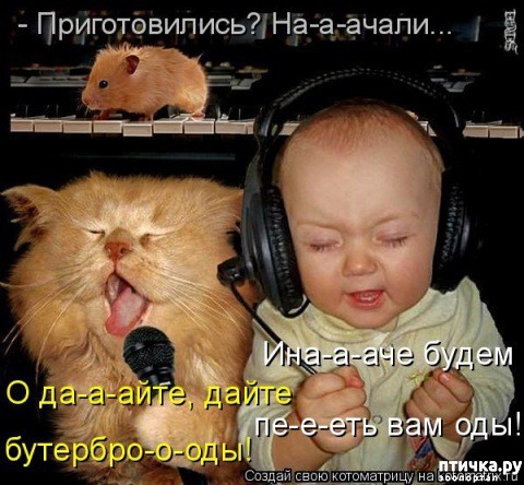 ���� 3: �����������