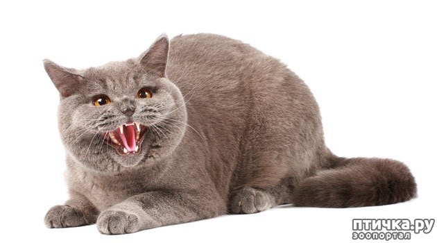 ���� 3: �������, �� ������� ����� ����� � ��������� �� ��������