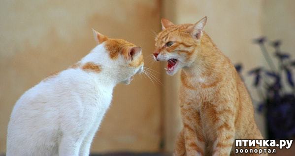 ���� 4: �������, �� ������� ����� ����� � ��������� �� ��������