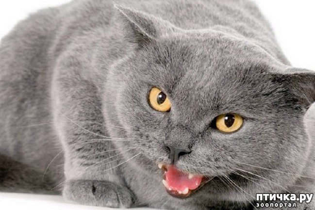 ���� 7: �������, �� ������� ����� ����� � ��������� �� ��������