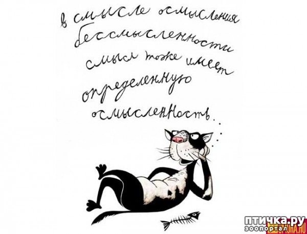 ���� 10: �������, �� ������� ����� ����� � ��������� �� ��������