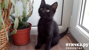 ����: � ����� � �������� ���������