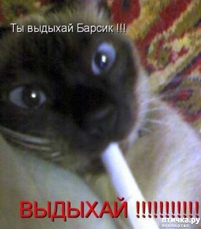 ���� 4: ����������� 2. ����������� � ��������