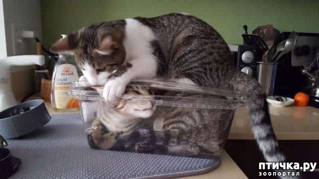 ���� 3: ������ ����������... ����������� ������ ���������� � ������