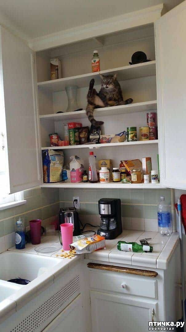 ���� 4: ������ ����������... ����������� ������ ���������� � ������