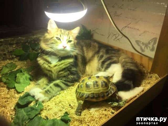 ���� 6: ������ ����������... ����������� ������ ���������� � ������