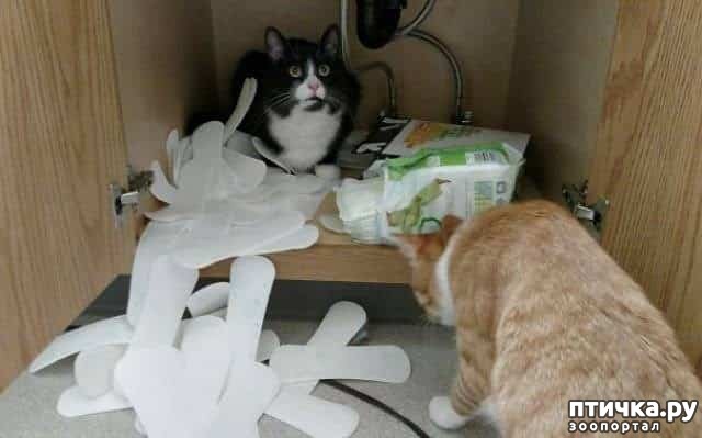 ���� 8: ������ ����������... ����������� ������ ���������� � ������