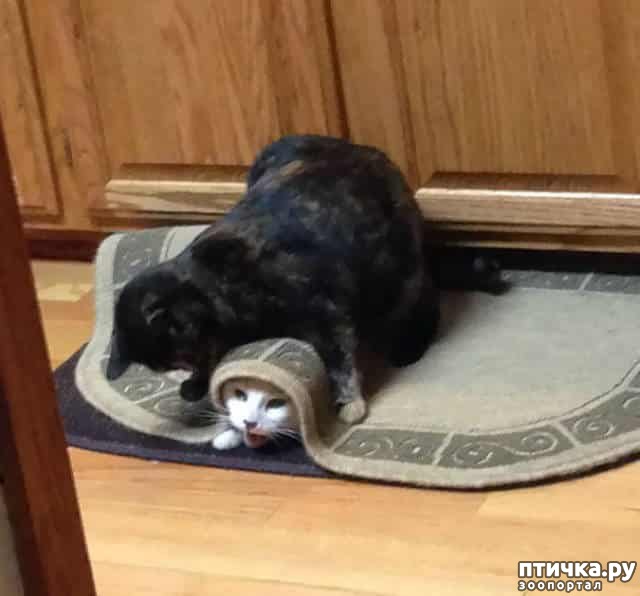 ���� 9: ������ ����������... ����������� ������ ���������� � ������