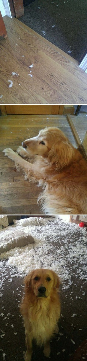 ���� 10: ������ ����������... ����������� ������ ���������� � ������