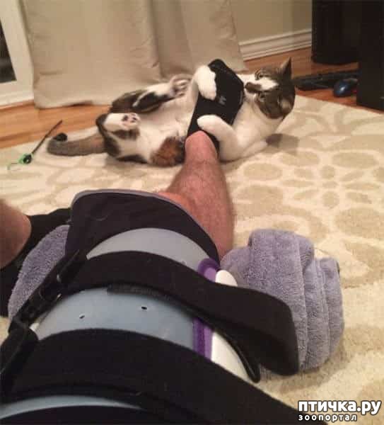 ���� 11: ������ ����������... ����������� ������ ���������� � ������