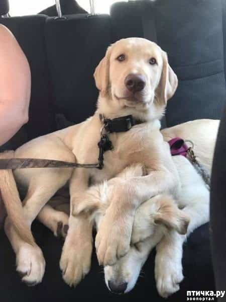 ���� 12: ������ ����������... ����������� ������ ���������� � ������