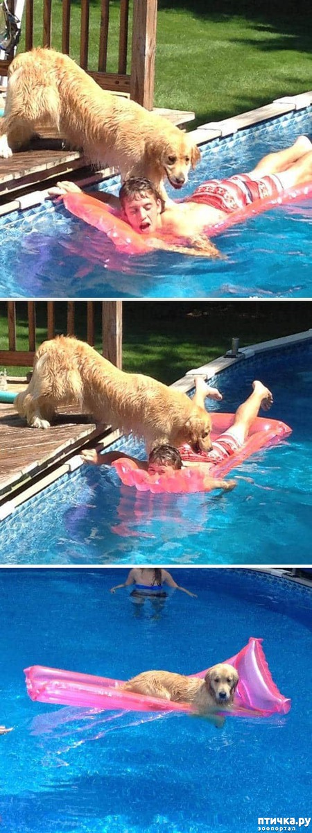 ���� 13: ������ ����������... ����������� ������ ���������� � ������