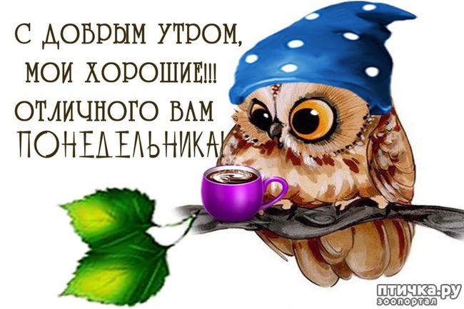 ���� 2: ������ ����������... ����������� ������ ���������� � ������