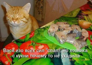 ����: ����������� 2. ����������� � ��������