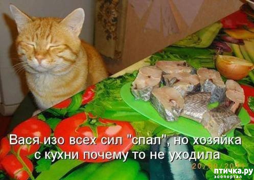 ���� 1: ����������� 2. ����������� � ��������