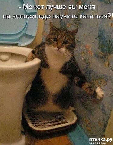 ���� 2: ����������� 2. ����������� � ��������