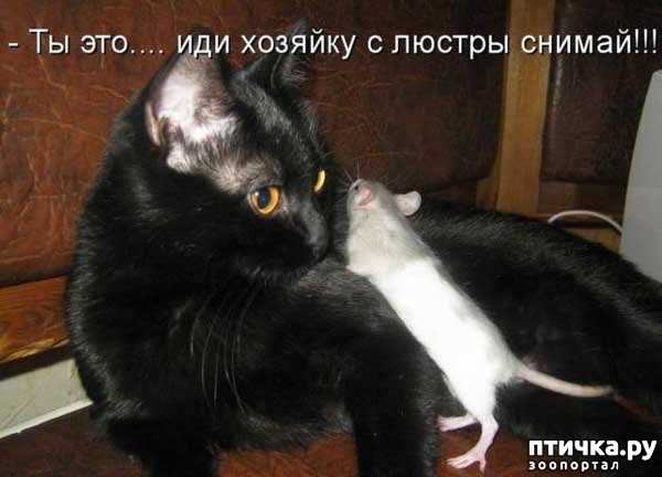 ���� 3: ����������� 2. ����������� � ��������