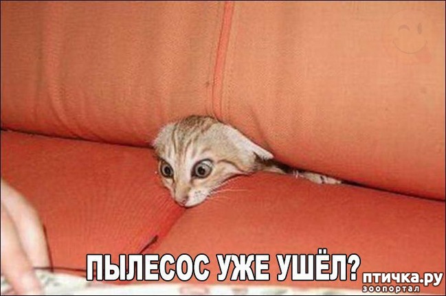 ���� 6: ����������� 2. ����������� � ��������