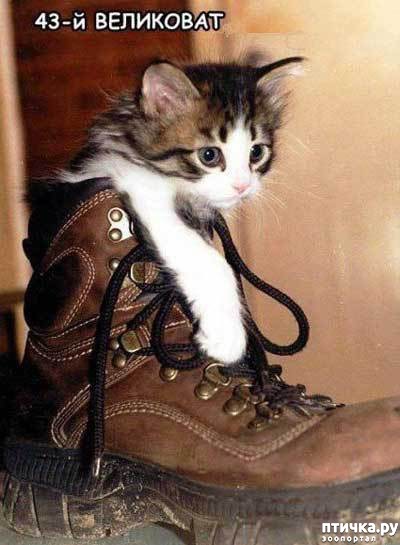 ���� 2: ����������� 3