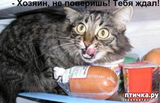 ���� 3: ����������� 3