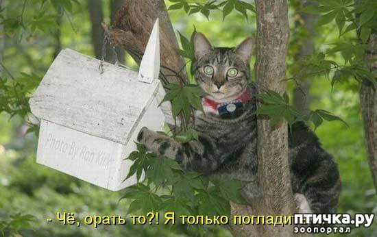 ���� 4: ����������� 3