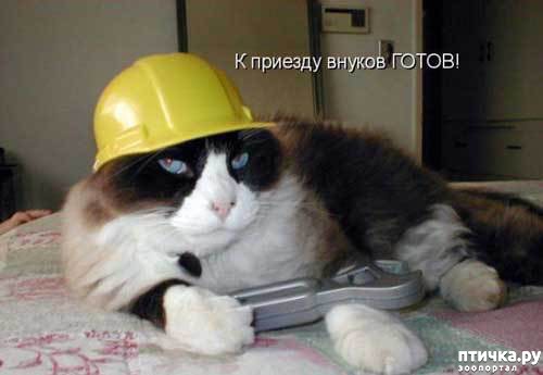 ���� 5: ����������� 3