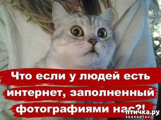 ���� 6: ����������� 3