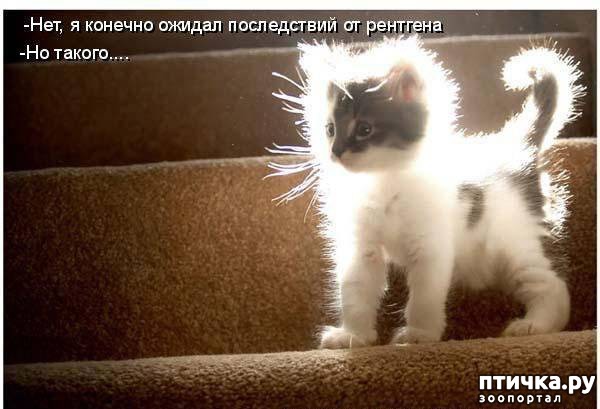 ���� 7: ����������� 3