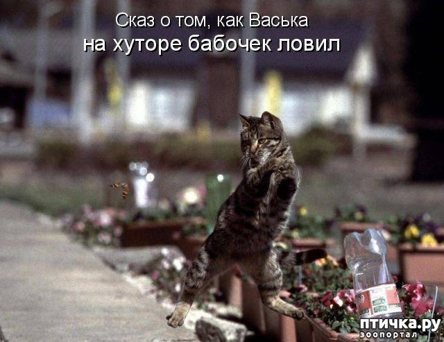 ���� 8: ����������� 3