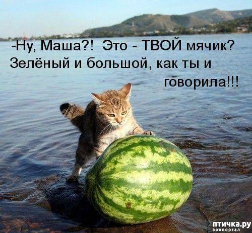 ���� 9: ����������� 3